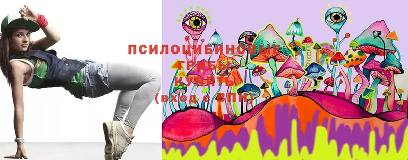 Псилоцибиновые грибы Psilocybe Кандалакша